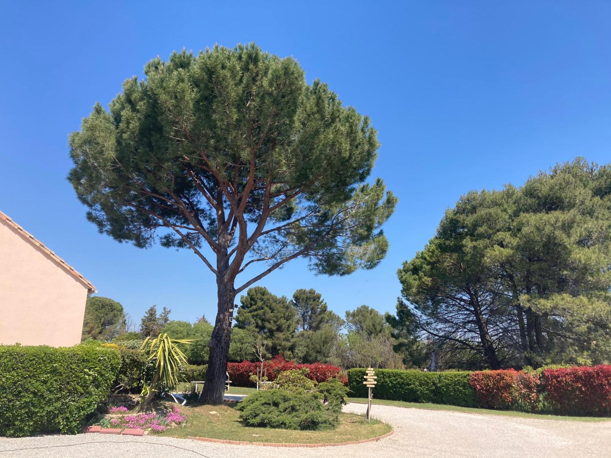 Villetelle Les Bougainvillees De Camargue מראה חיצוני תמונה