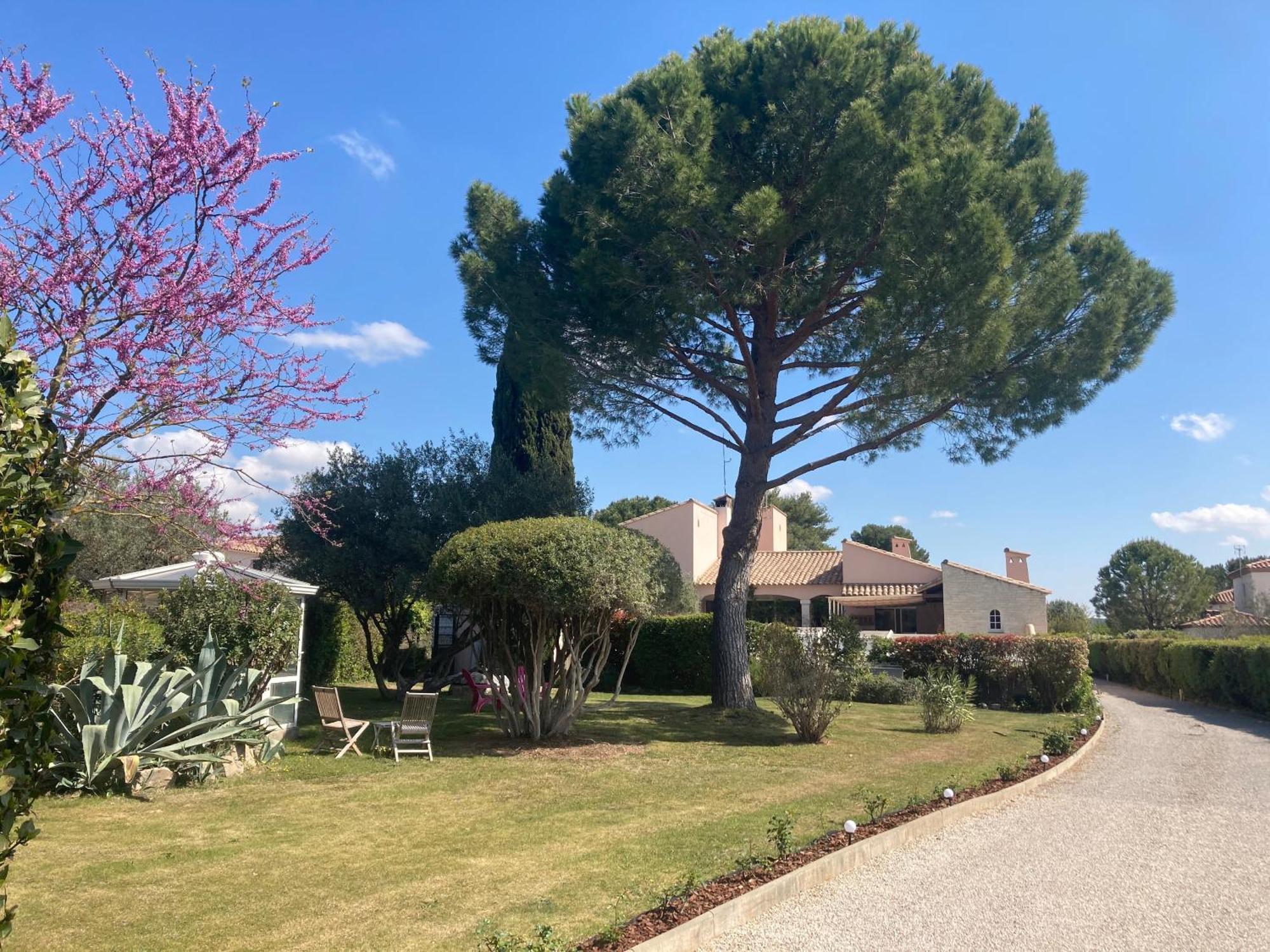 Villetelle Les Bougainvillees De Camargue מראה חיצוני תמונה